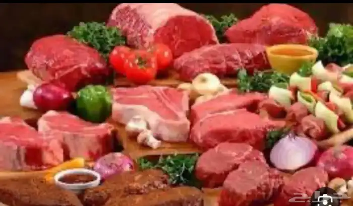 معدات ملحمة 0