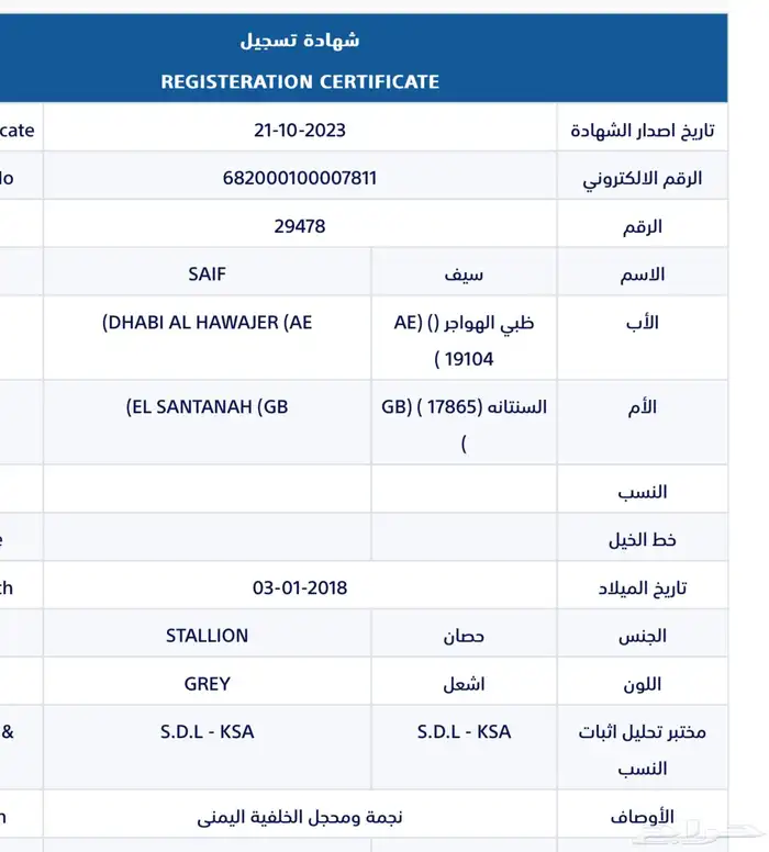 حصان واهو فاخر 7