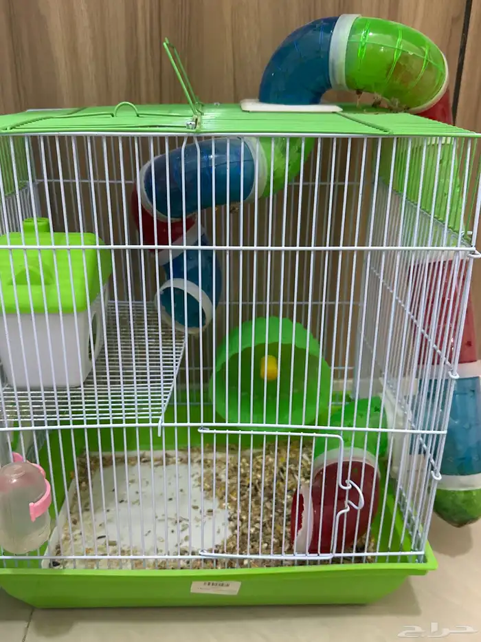 هامستر ابيض لعوب معه قفص واكل وموية 0