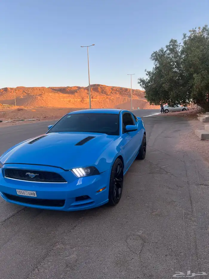 موستنق 2013 0