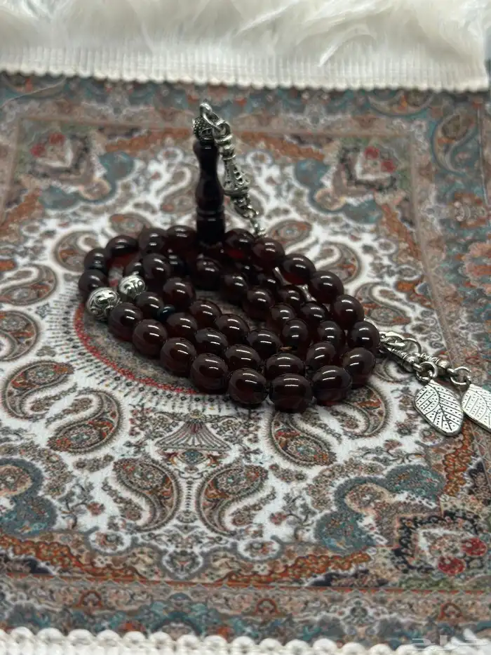 سبح فاتوران ( عروض اليوم الوطني ) 8