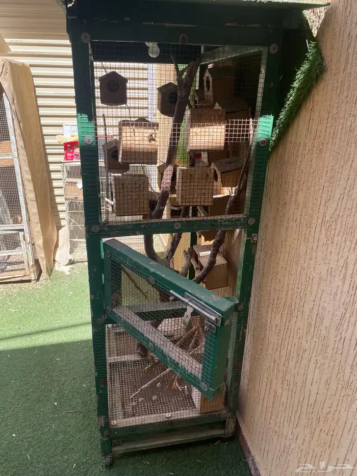 شبك طيور 2