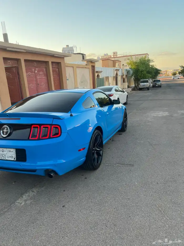 موستنق 2013 2