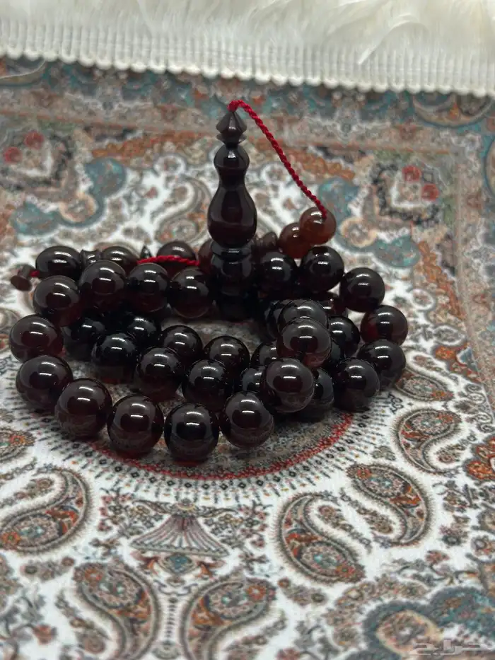 سبح فاتوران ( عروض اليوم الوطني ) 48
