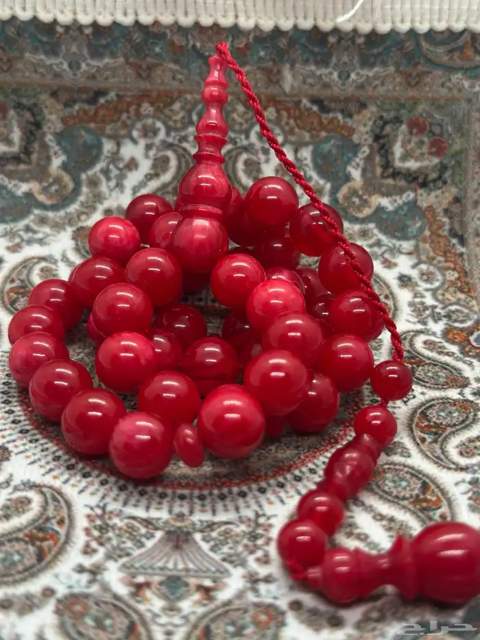سبح فاتوران ( عروض اليوم الوطني ) 66