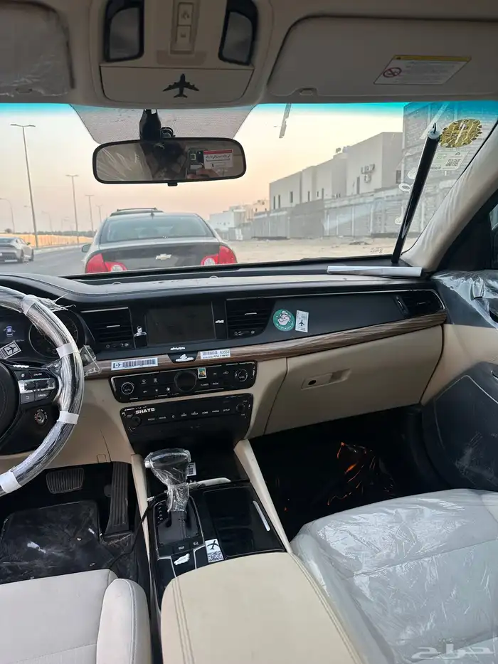 كادنزا 2019 10