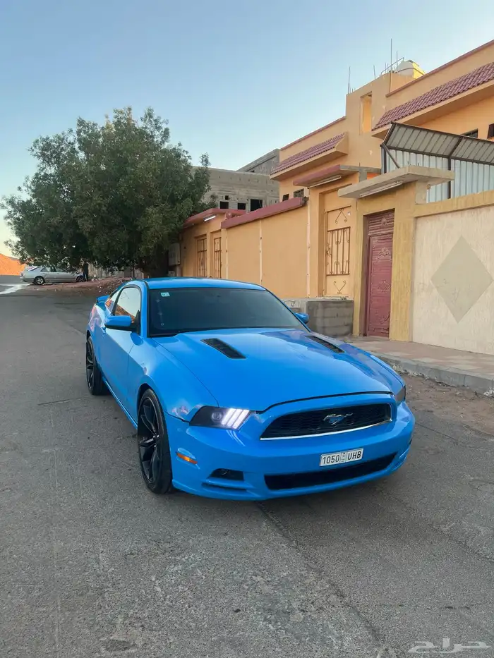موستنق 2013 1