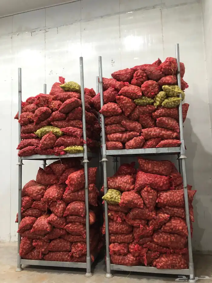 يوجد للبيع بطاطس للحلال اكياس كبيره وزن 25كيلو تقريبا 3