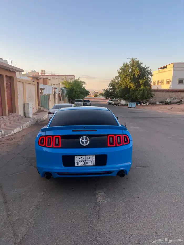 موستنق 2013 5