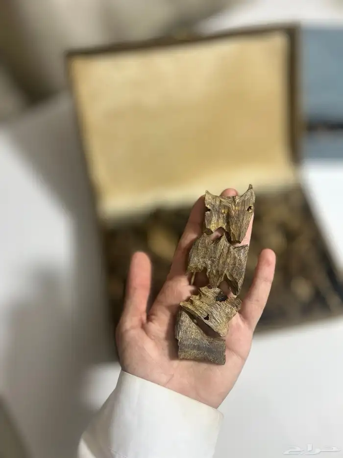 عود كينام الصيني دبل سوبر وتربل 0