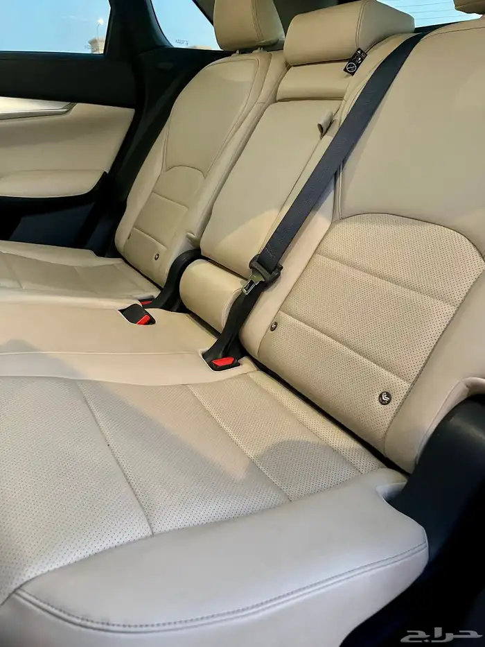 انفنيتي QX50 2024 19