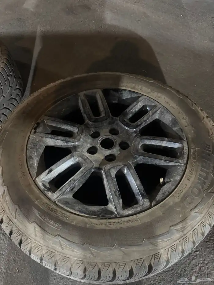 جنوط للبيع نظيفه جدا 3