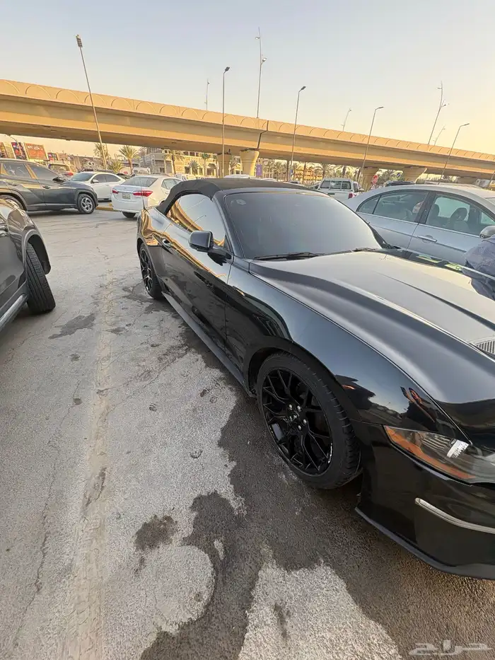 فورد موستنغ 2019 2