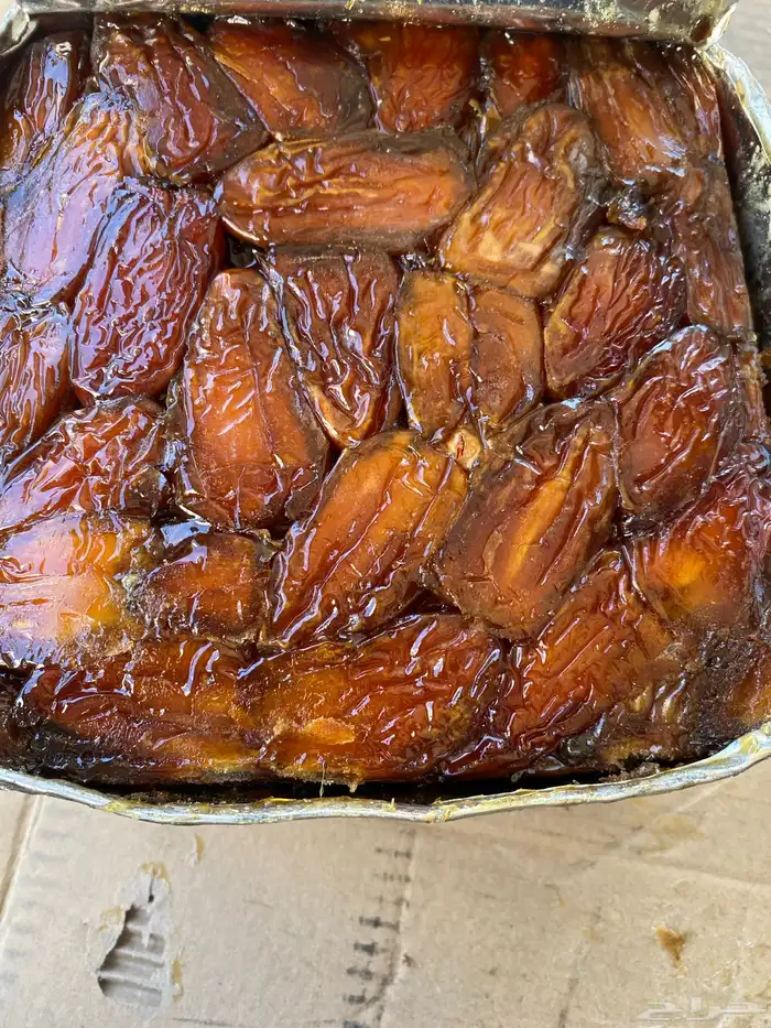 تمر صفري للبيع 4