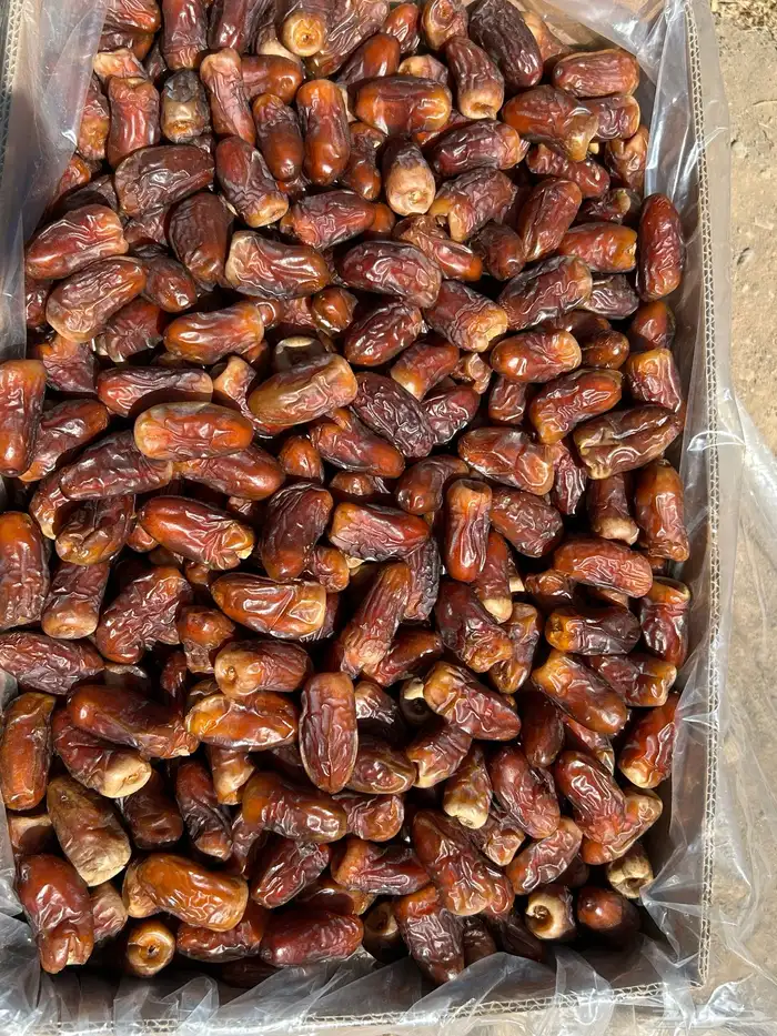 تمر برني رقم واحد ملكي فاخر وكعيمر رقم واحد 0