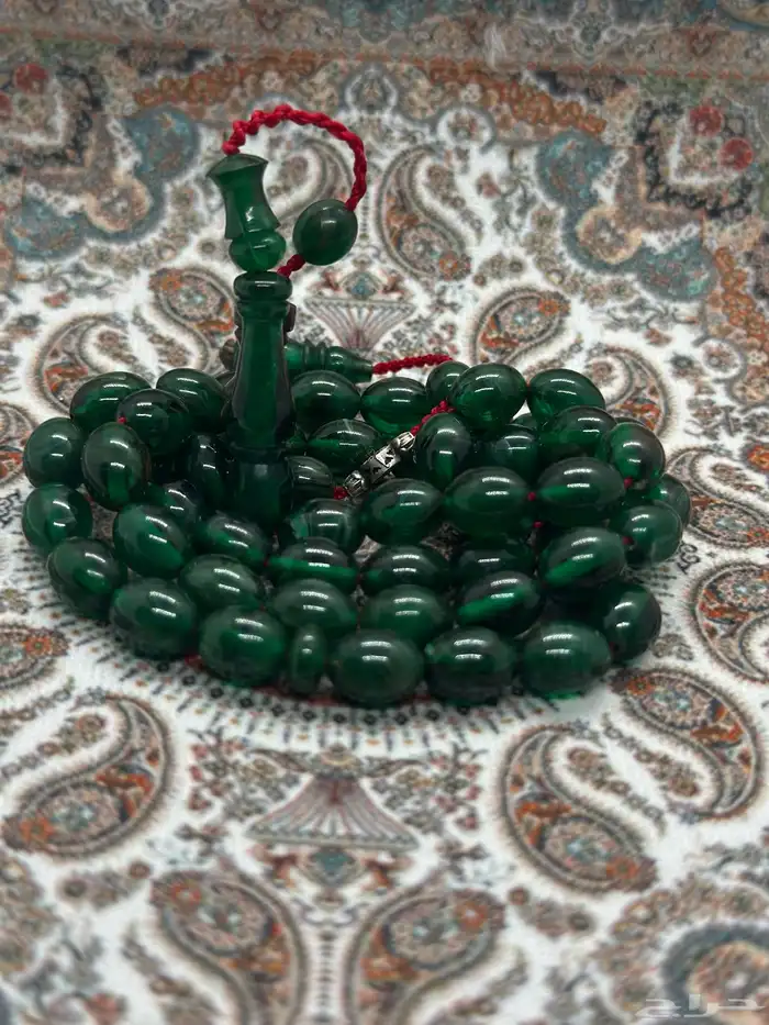 سبح فاتوران ( عروض اليوم الوطني ) 62