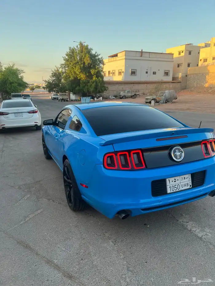 موستنق 2013 3