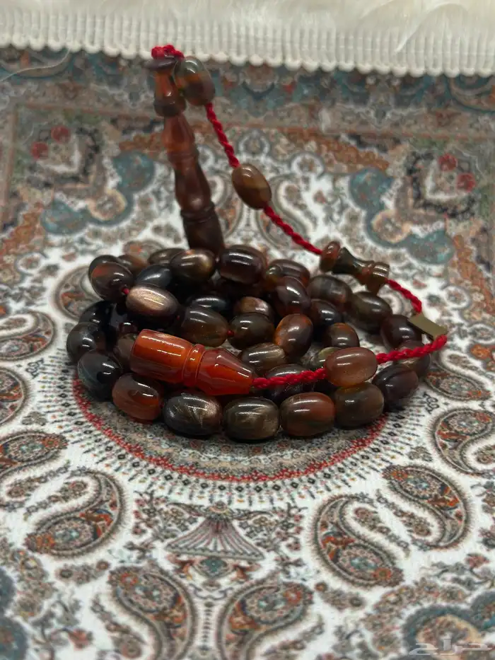 سبح فاتوران ( عروض اليوم الوطني ) 59