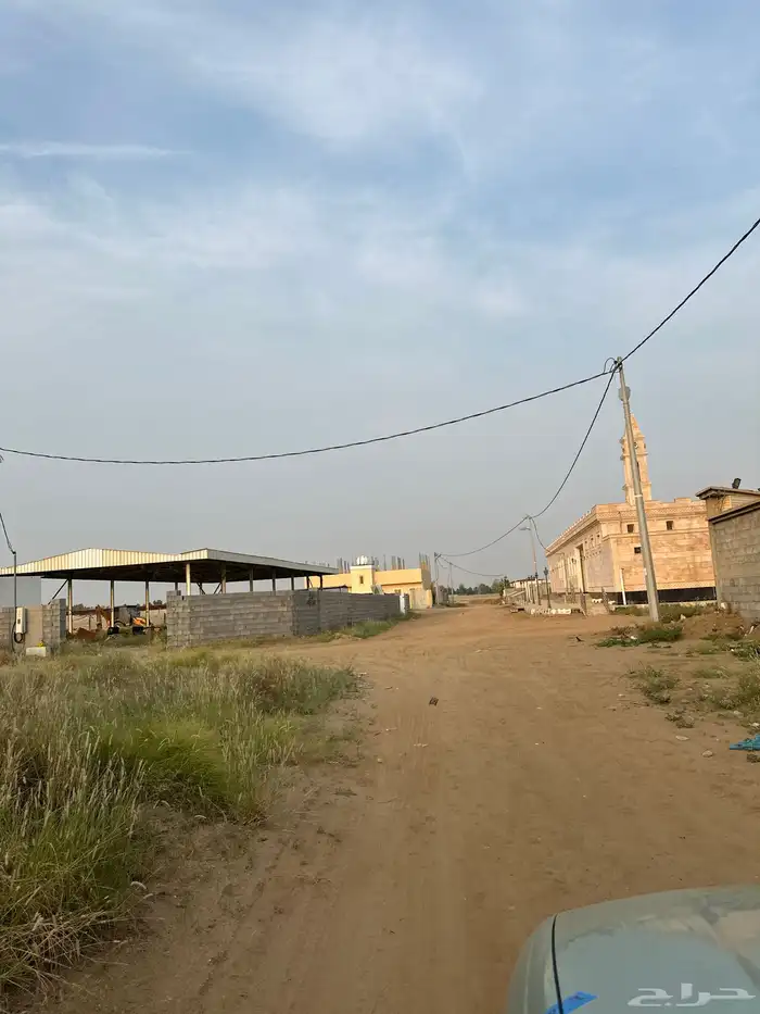 مفقود طير كروان الجراديه الجديده 0
