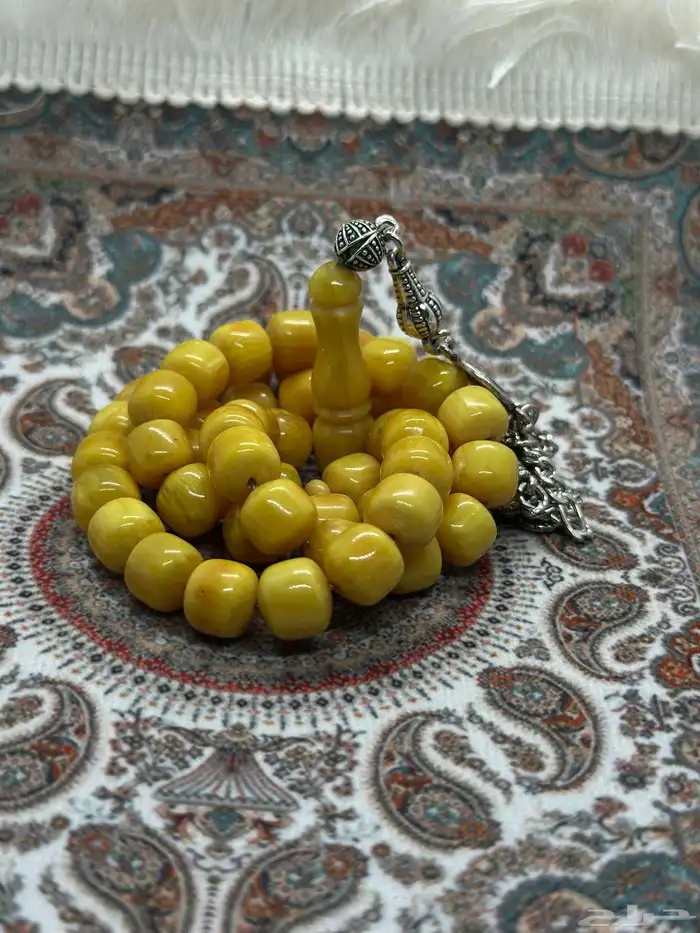 سبح فاتوران ( عروض اليوم الوطني ) 37