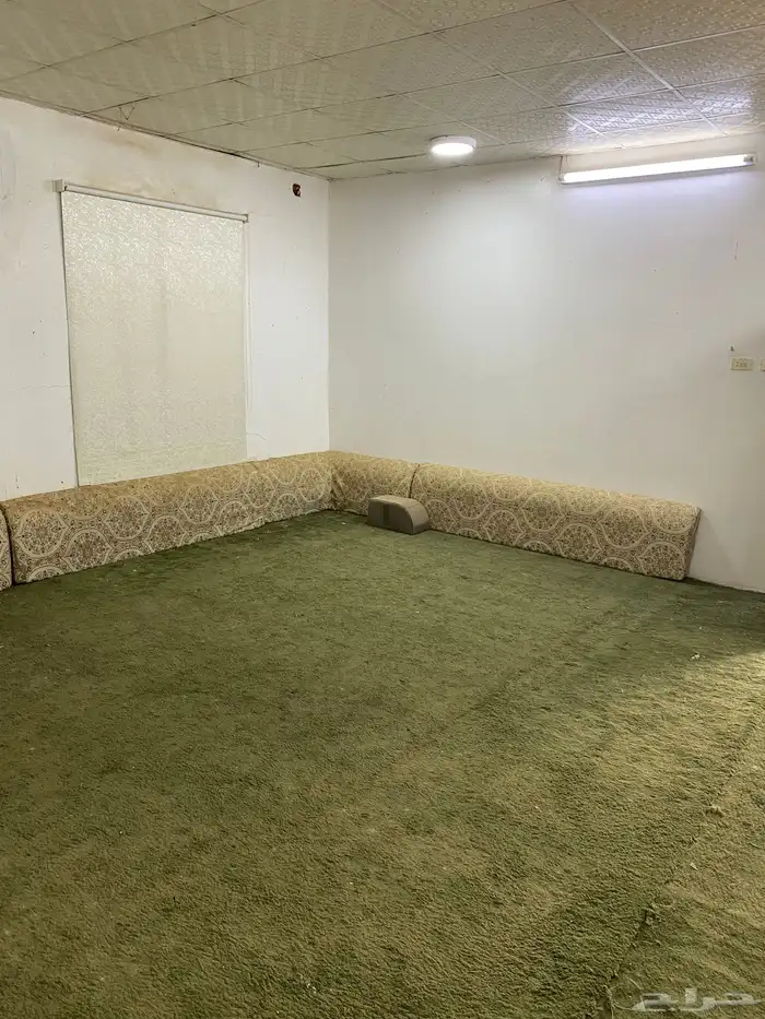 البيع استراحة في عشيرة 14