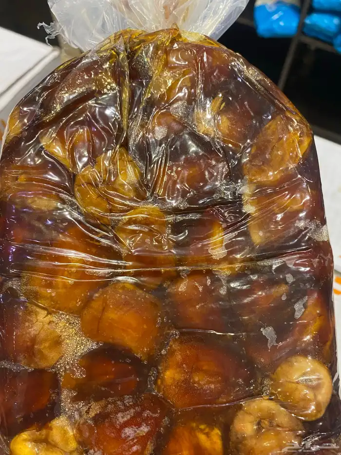 سكري ضميد الموقع الزلفي 1