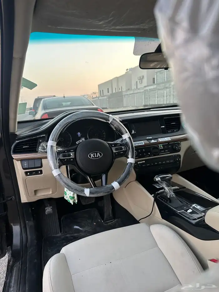 كادنزا 2019 5