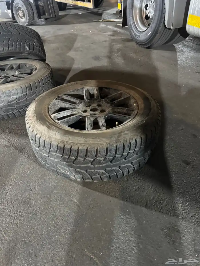 جنوط للبيع نظيفه جدا 4