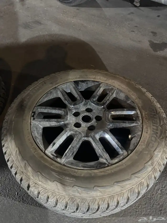 جنوط للبيع نظيفه جدا 5