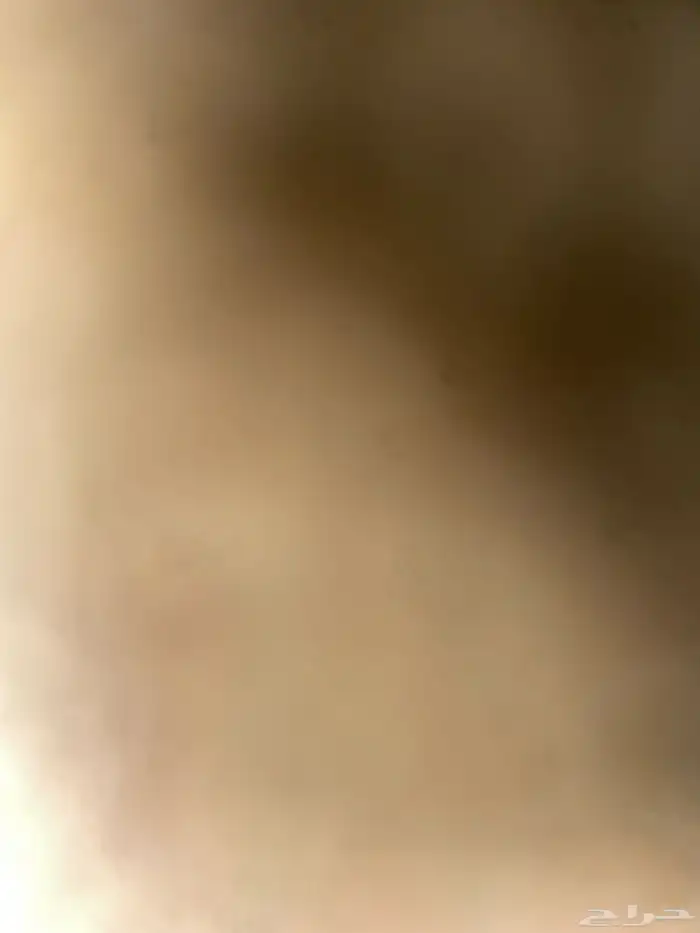 الي عنده طير بلبل ما يبيه يكلمني تبني 0