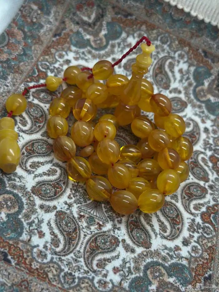 سبح فاتوران ( عروض اليوم الوطني ) 53
