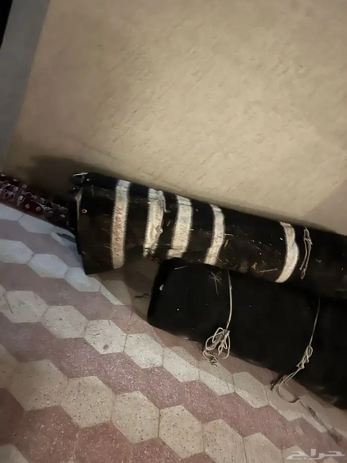 بيت شعر وخيام 0