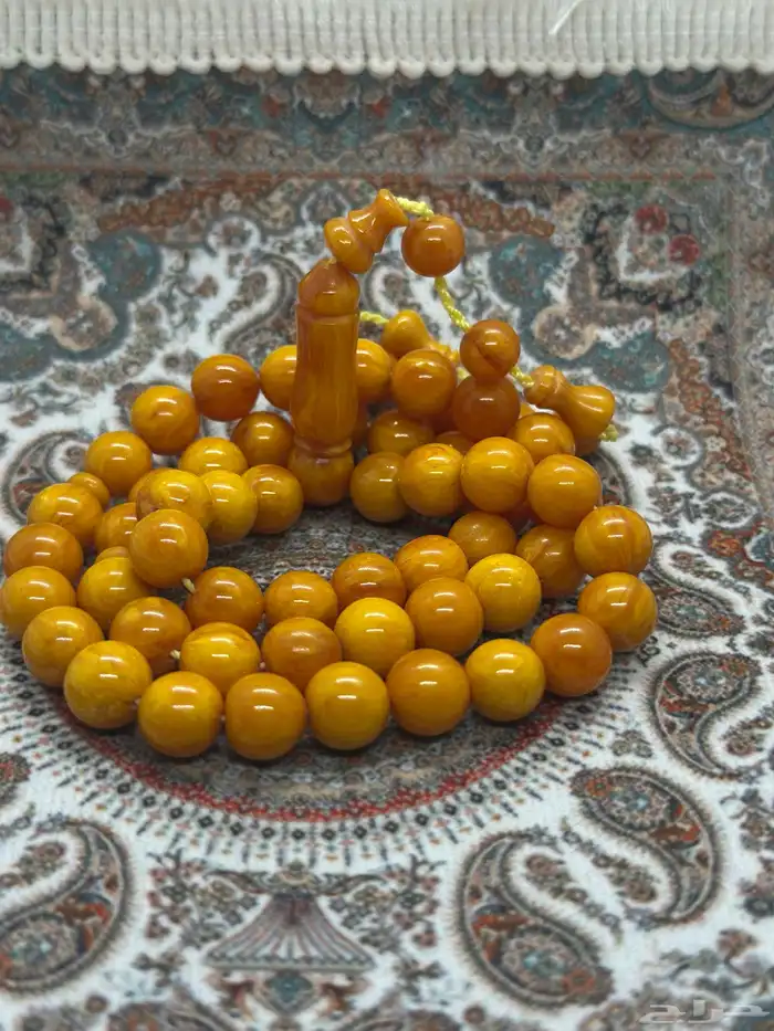 سبح فاتوران ( عروض اليوم الوطني ) 54