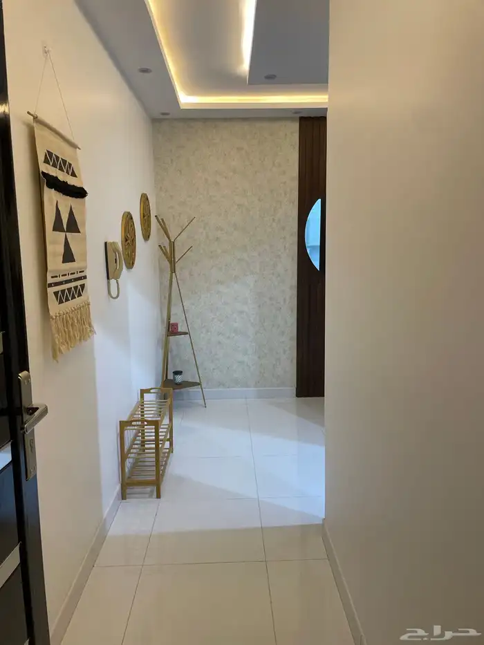 شقه مفروشه سنه دراسيه ابها المحاله 11