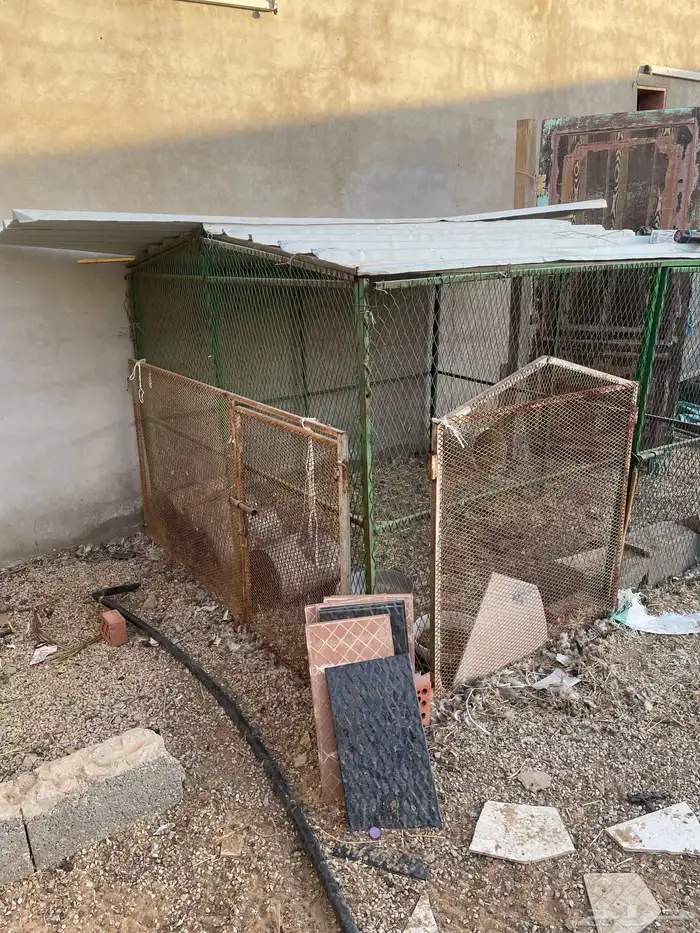 للبيع شبك دجاج او طيور 2