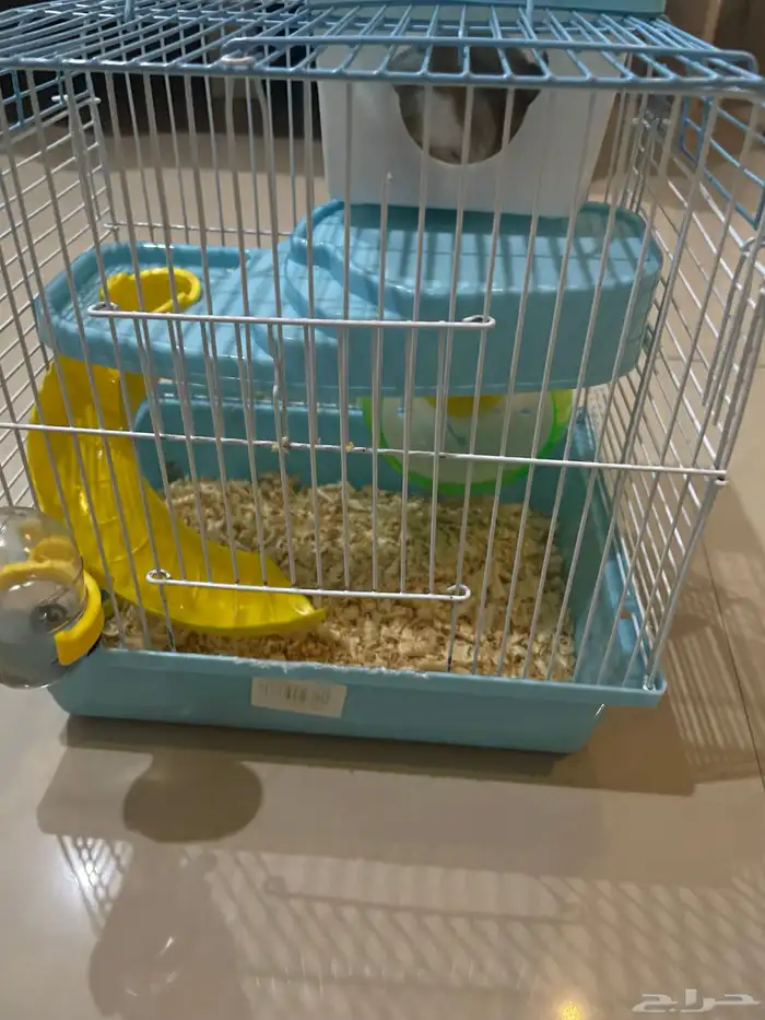 هامسنر 0