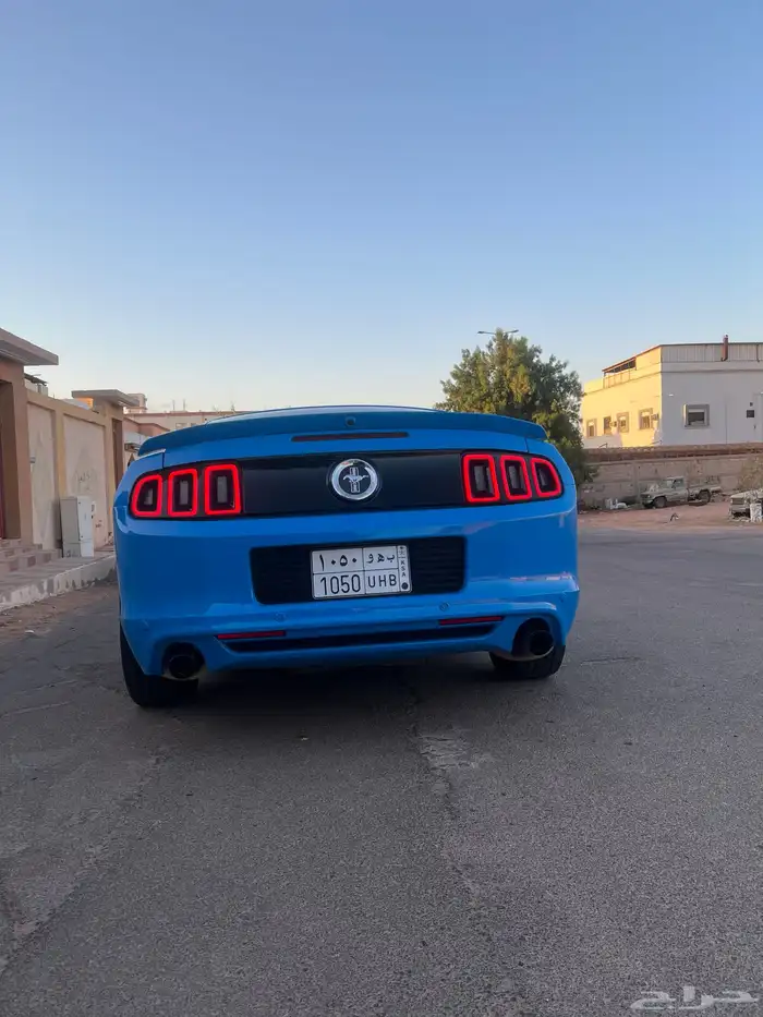 موستنق 2013 4