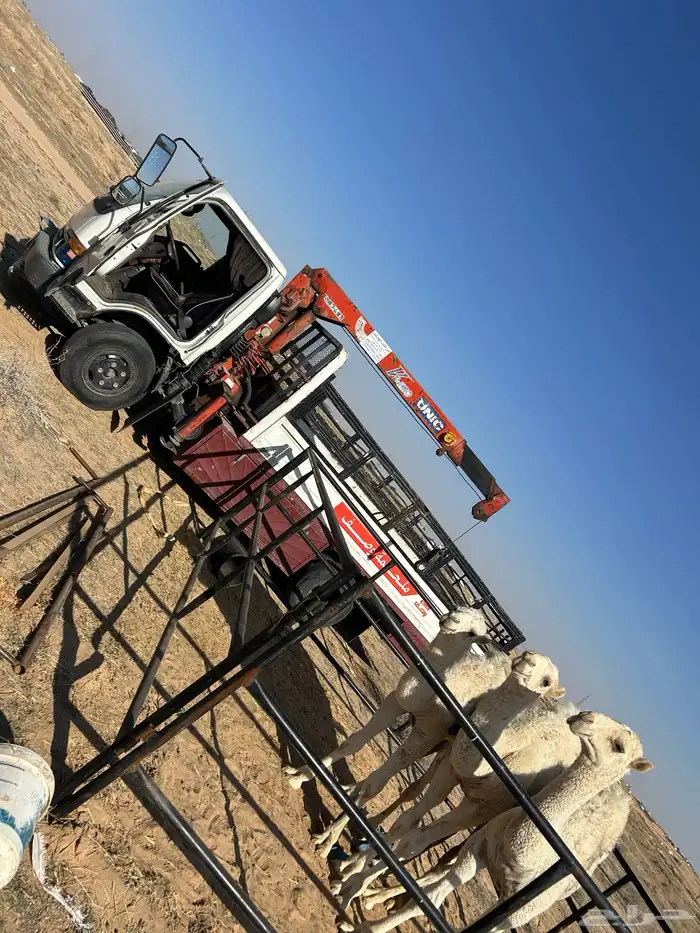 ملحمه لتقبيل 6