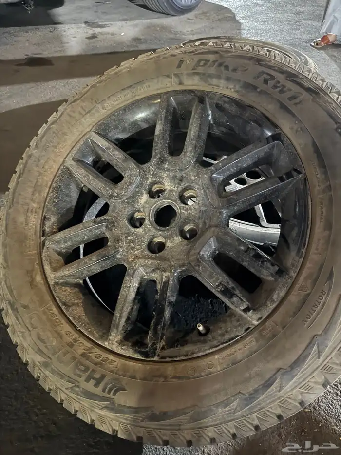 جنوط للبيع نظيفه جدا 0