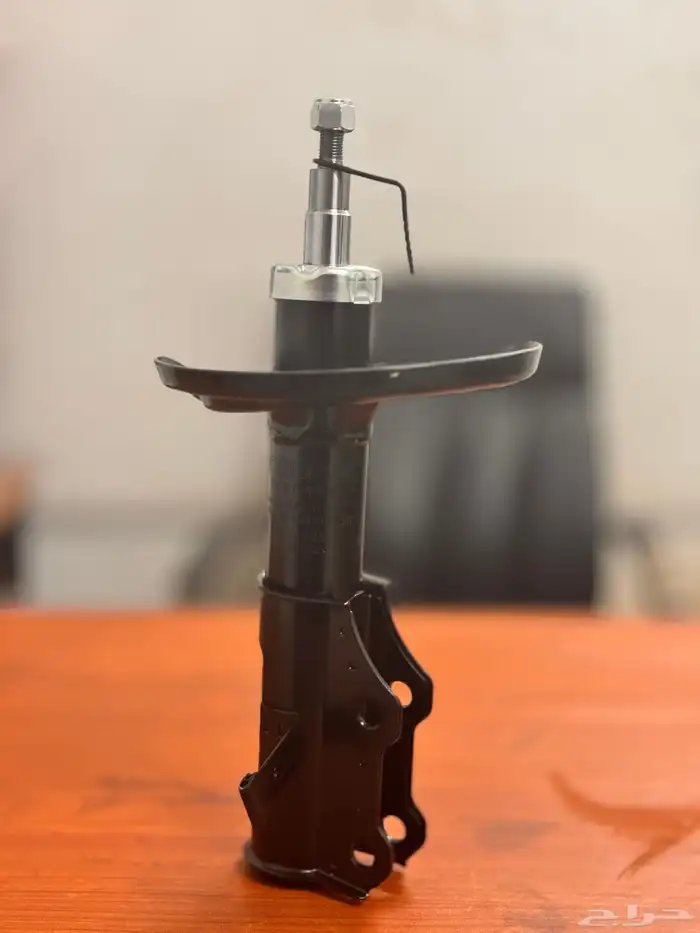 مساعدات تورس 2010 2019 4