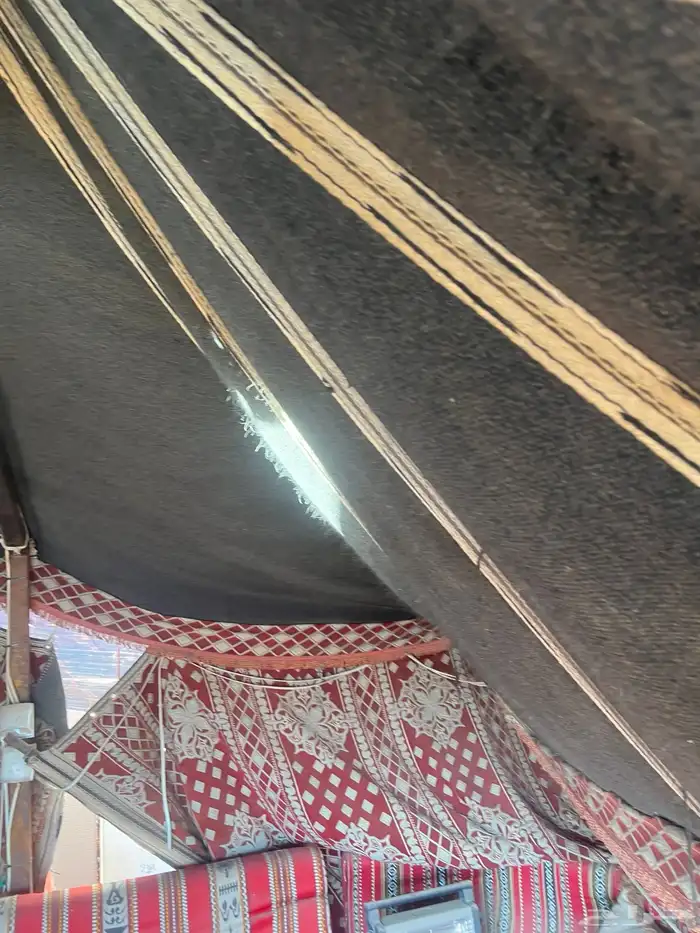 للبيع خيمة على وضعه بدون الكهرب 7