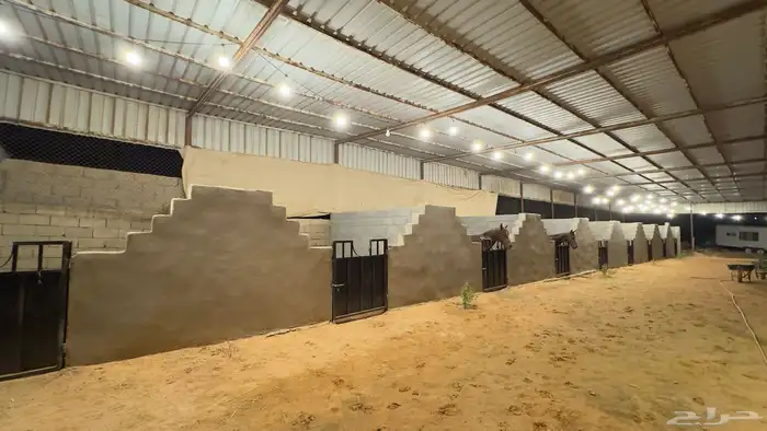 ايواء خيل غرف 0