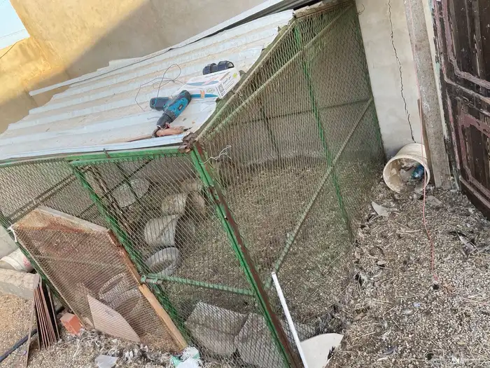 للبيع شبك دجاج او طيور 0