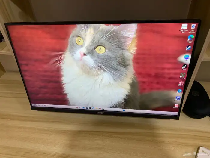 بي سي 4