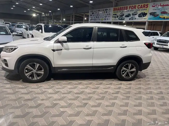 شانجان 2020 CS75 2
