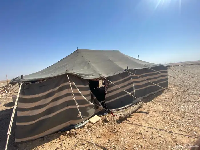 بيت شعر على السوم 4