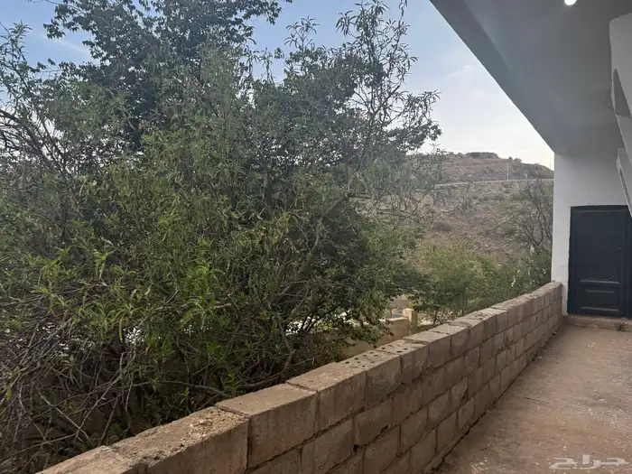اي جار بي ت شعبي 47