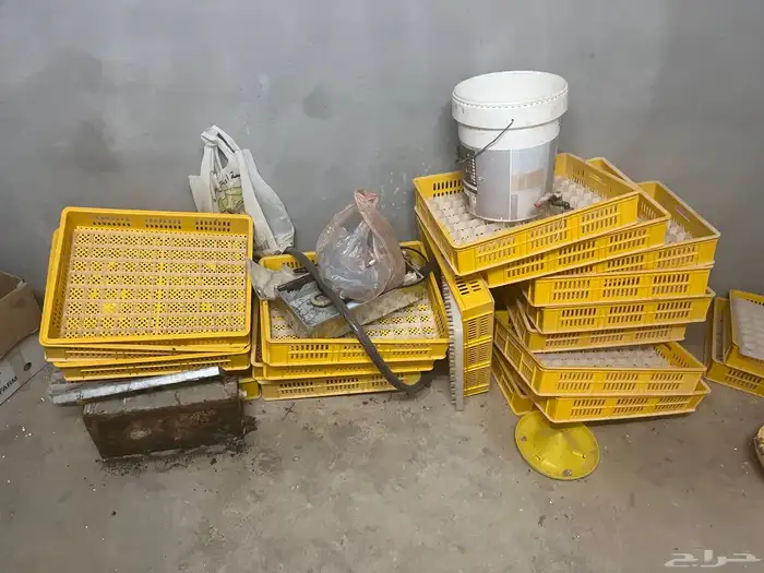 فقاسه دجاج وسمان 1