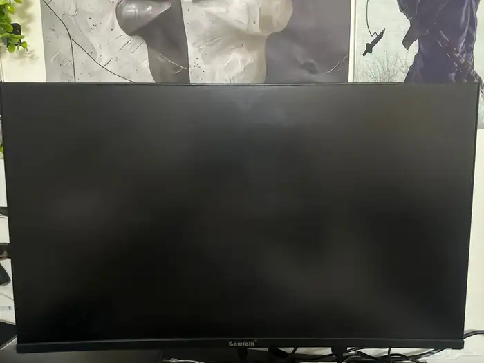 شاشة قيمنق 24 انش 0