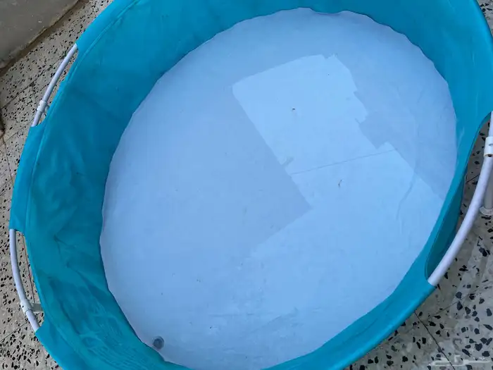 مسبح 2